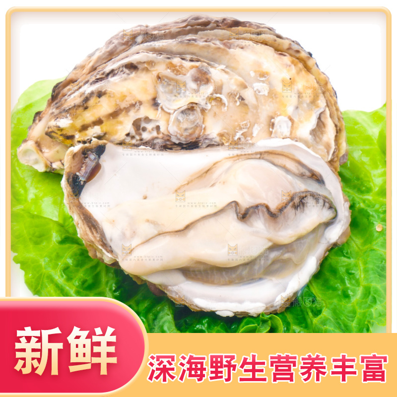 白底上放着乳山生蚝