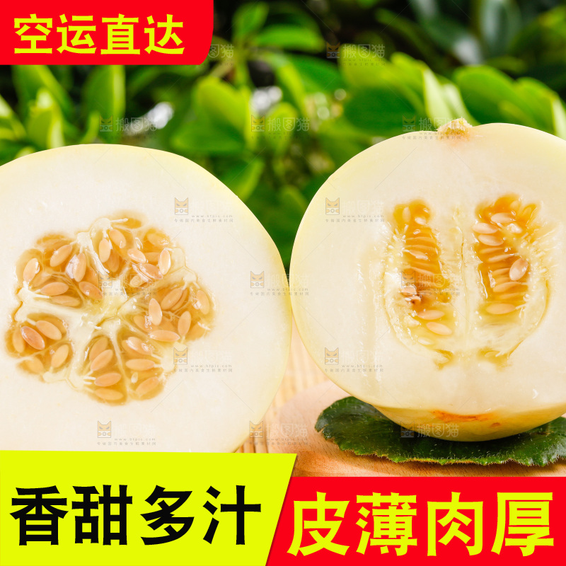 浅底上的新鲜甜瓜