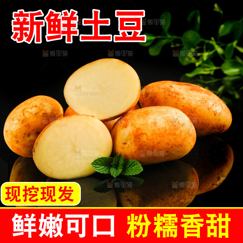 黑底上放着黄心土豆