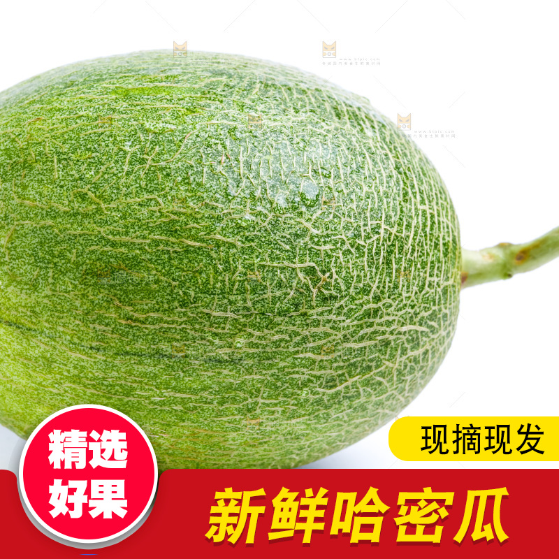白底上的哈密瓜