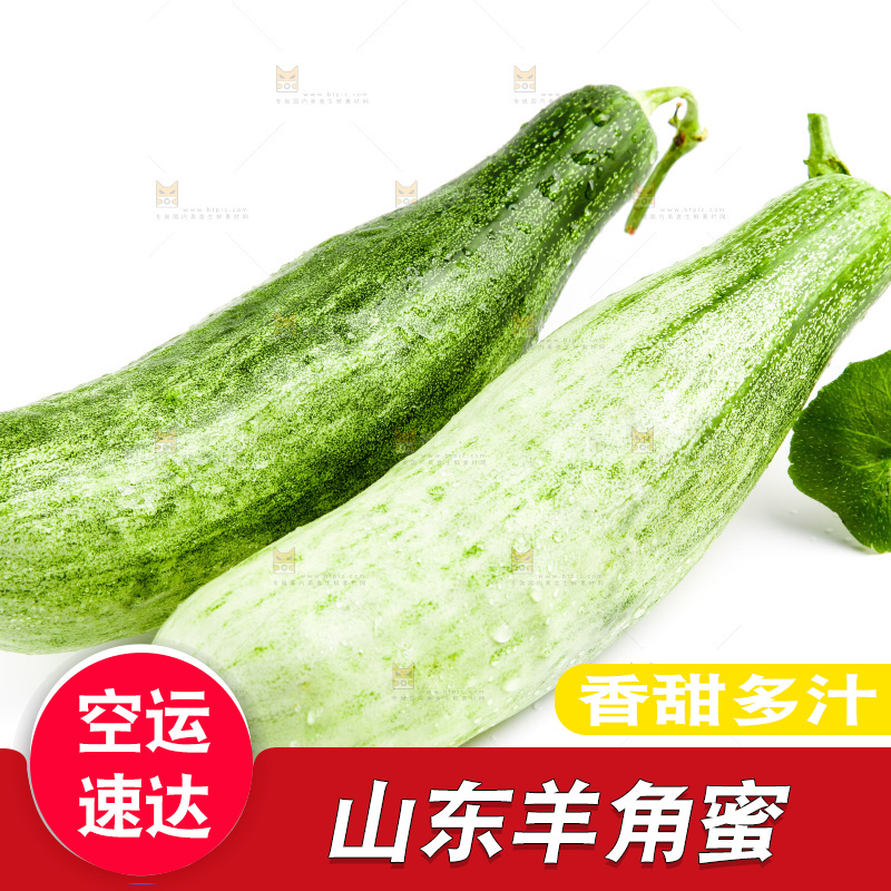 白底上的山东羊角蜜甜瓜