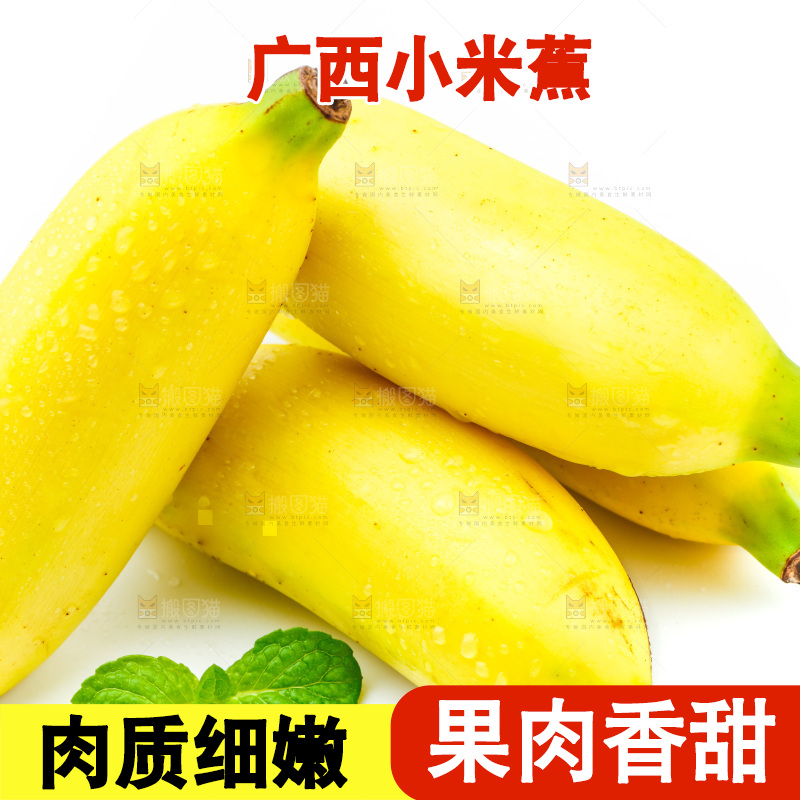 白底上放着新鲜小米蕉