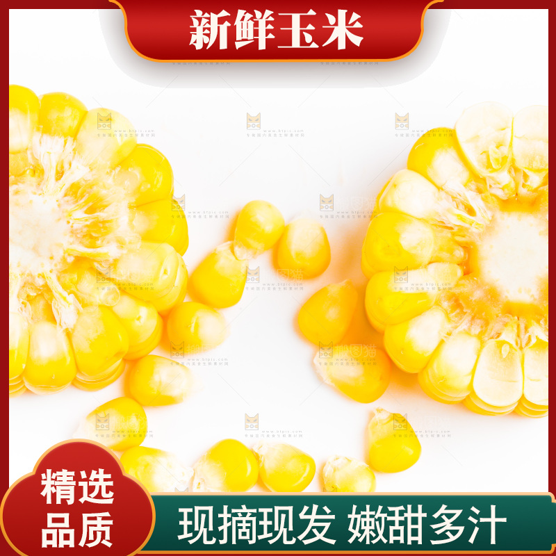 白底上的甜玉米