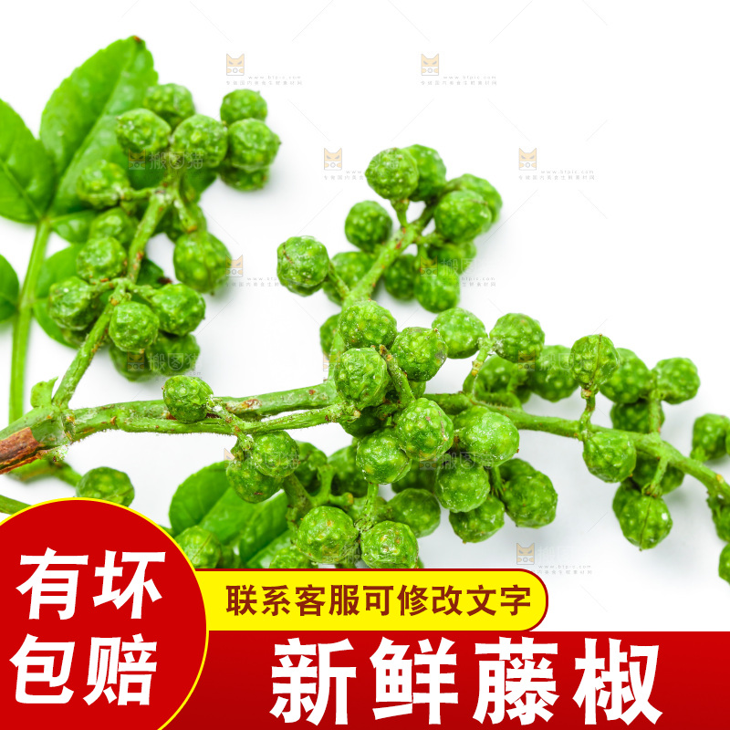 白底上的新鲜藤椒