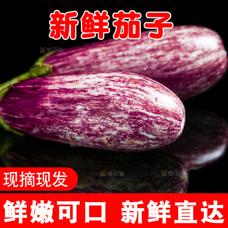 黑底上放着金丝茄子