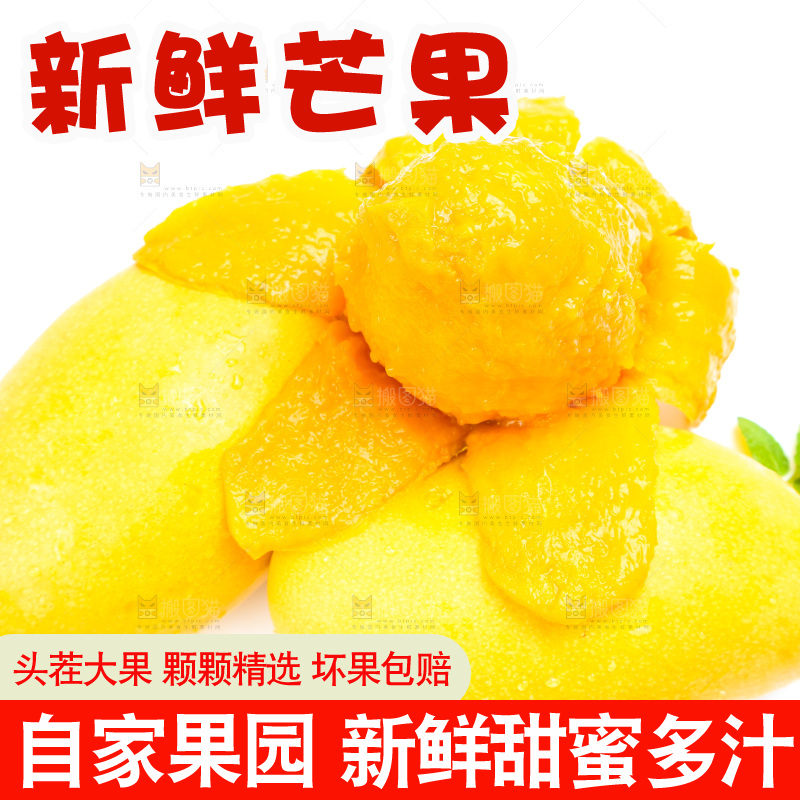 新鲜台芒放在白底上