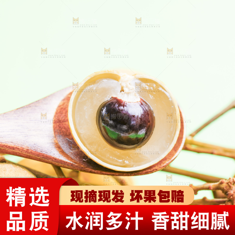 勺子里装着新鲜龙眼