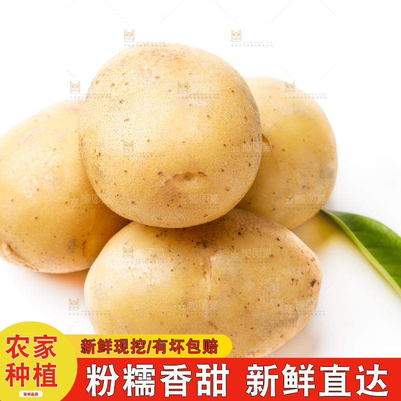白底上放着黄心土豆