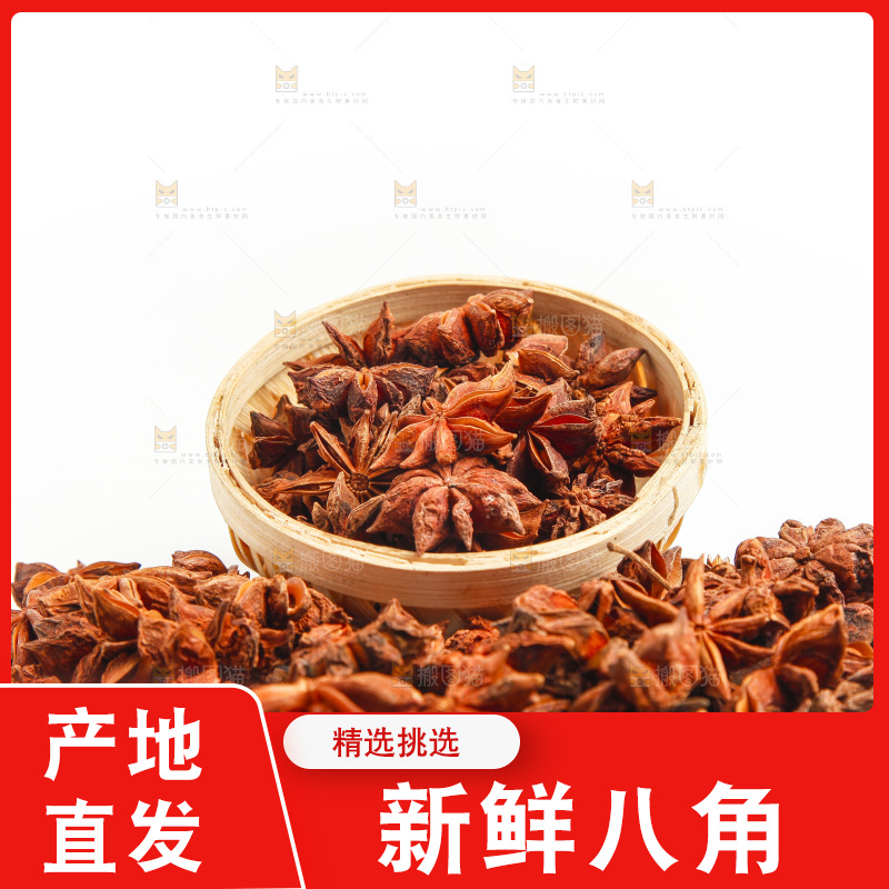 广西八角放在白底上
