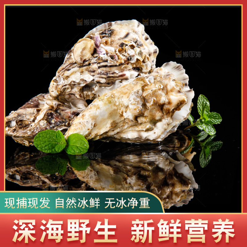 深底上放着牡蛎