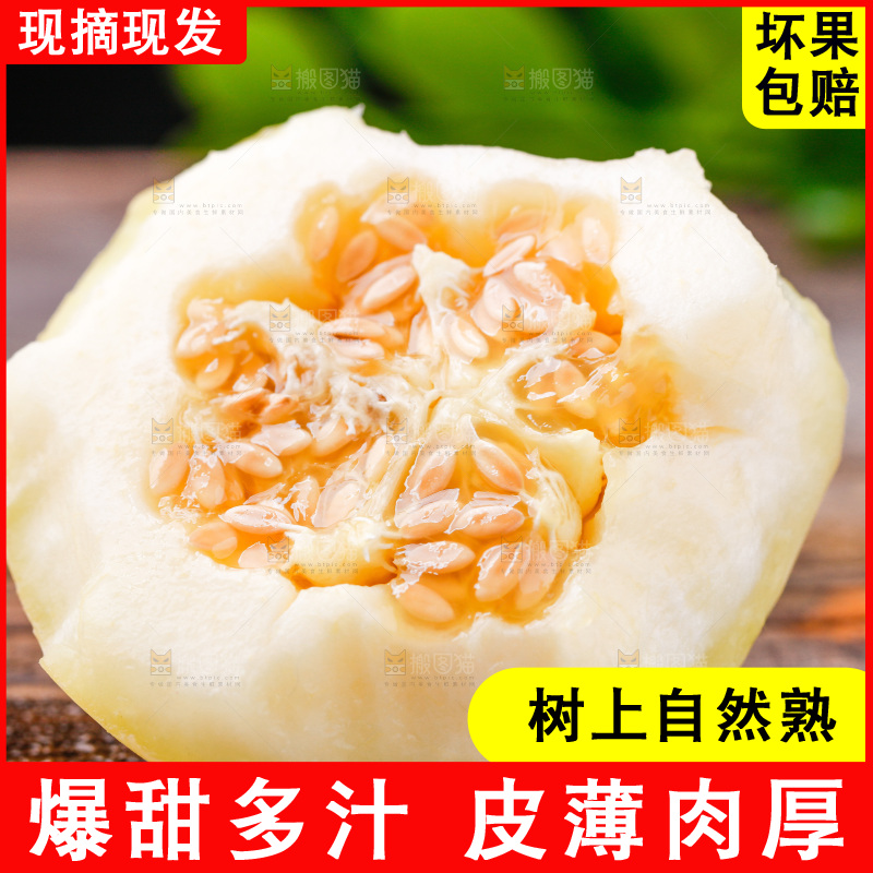 新鲜阎良甜瓜放在木底上
