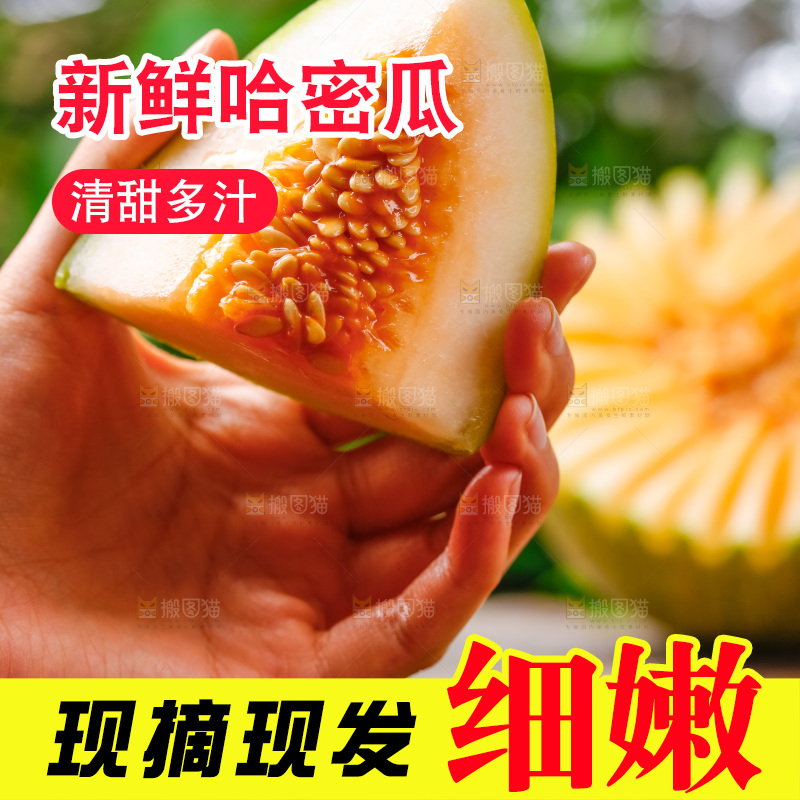 手拿切开的新疆哈密瓜