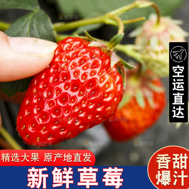 手拿草莓