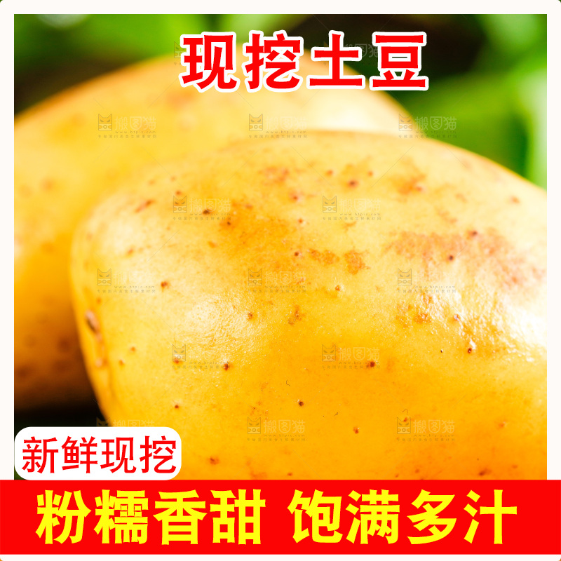 浅底上放着云南黄心土豆