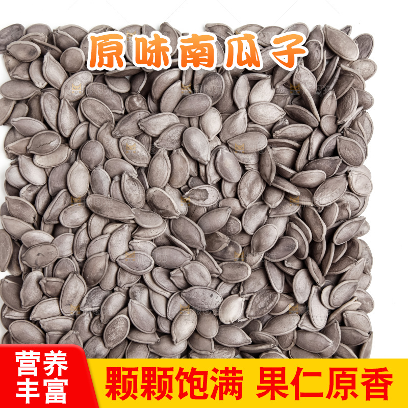 黑南瓜子放在白底上