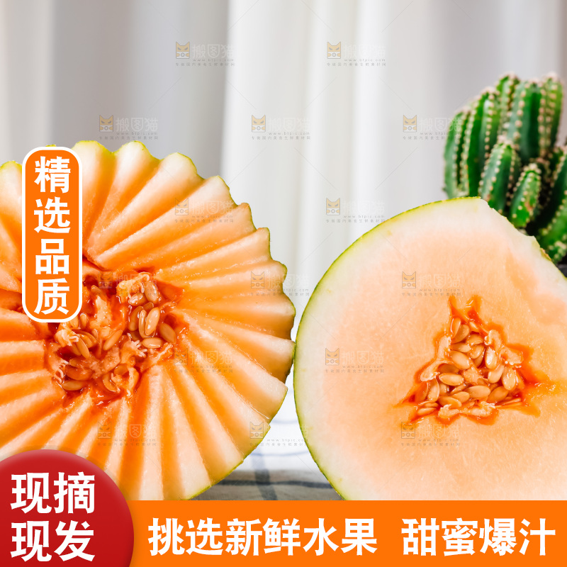 格子布上放着新鲜哈密瓜