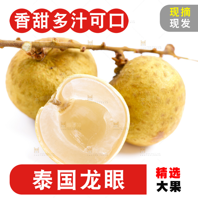 白底上的龙眼