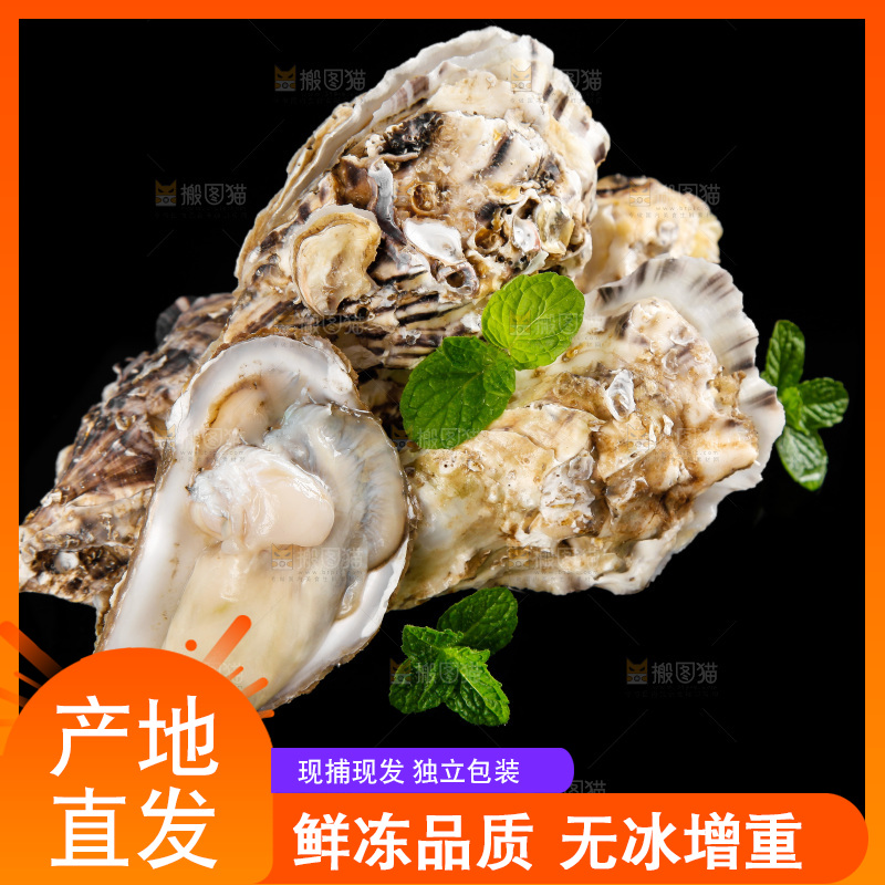 深底上放着牡蛎