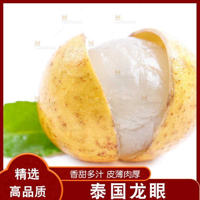 新鲜龙眼放在白底上