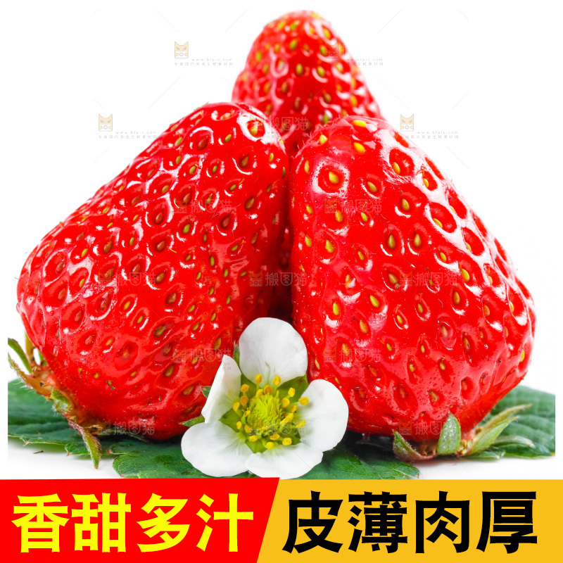 白底上放着99草莓