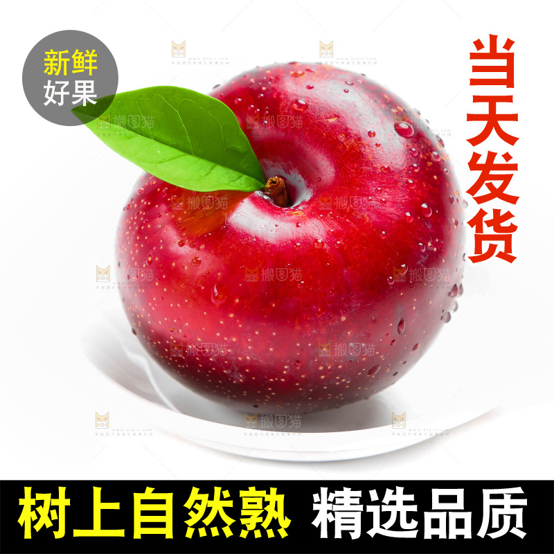 白底上的黑布林