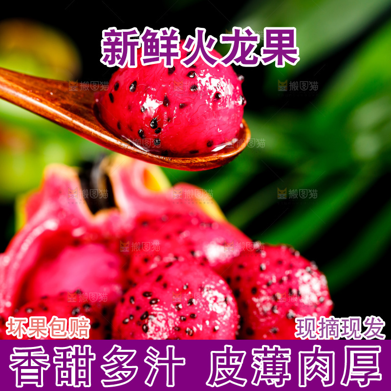 勺子里装着红心火龙果