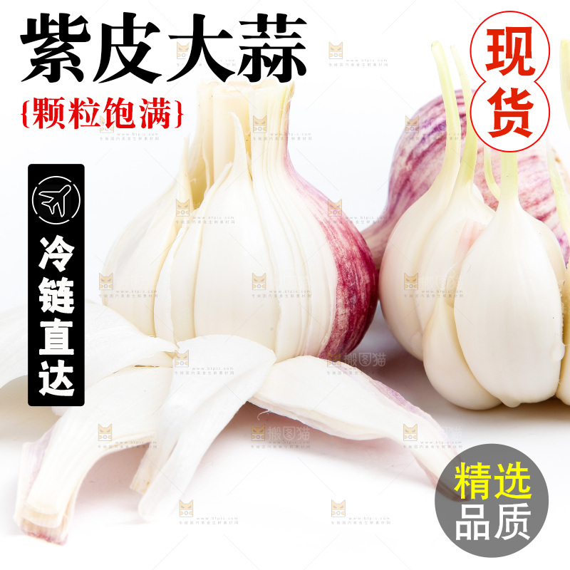 白底上的大蒜