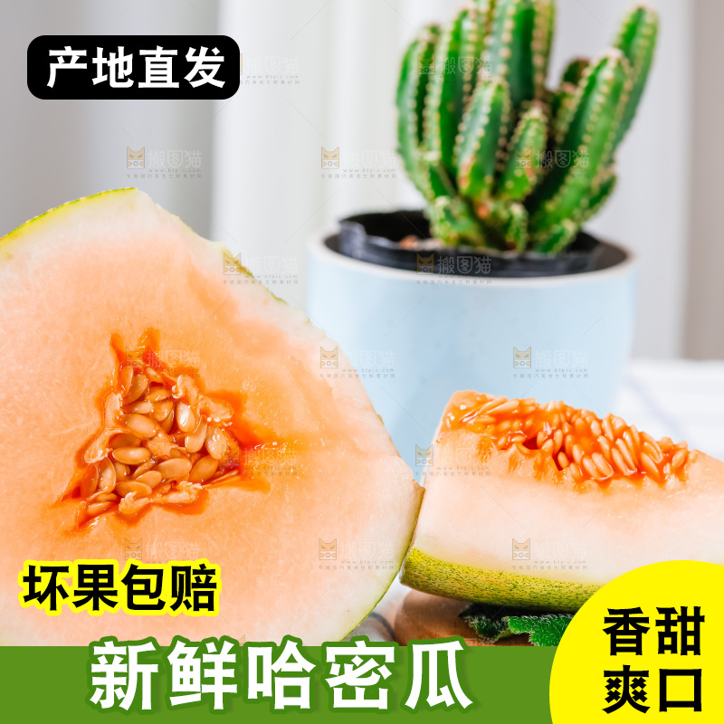 格子布上放着新鲜哈密瓜