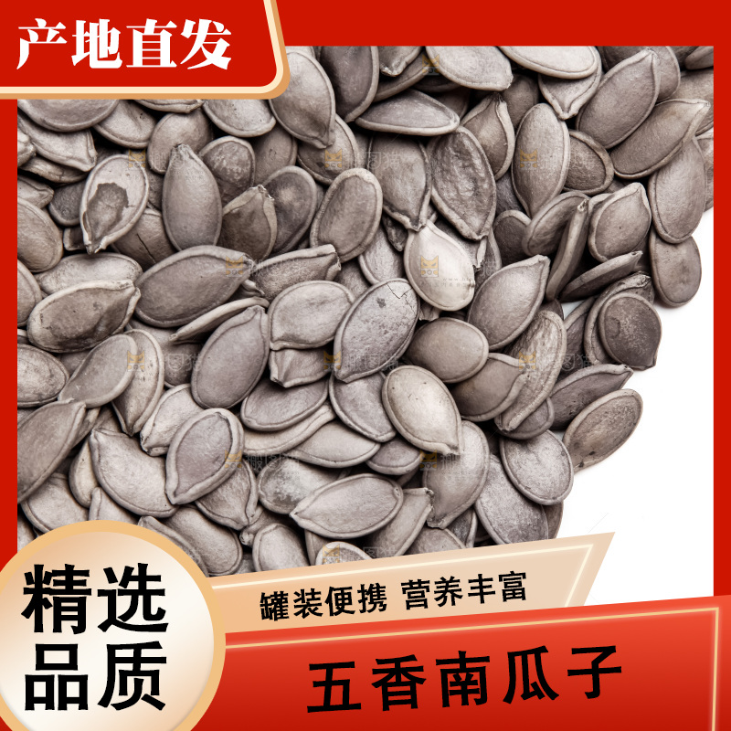 黑南瓜子放在白底上