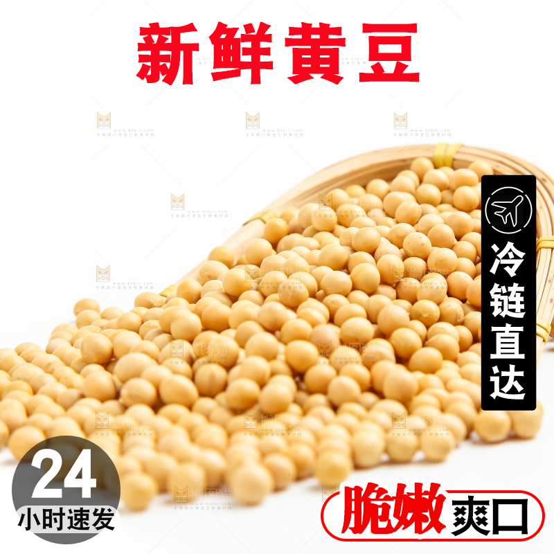 白底上的新鲜黄豆