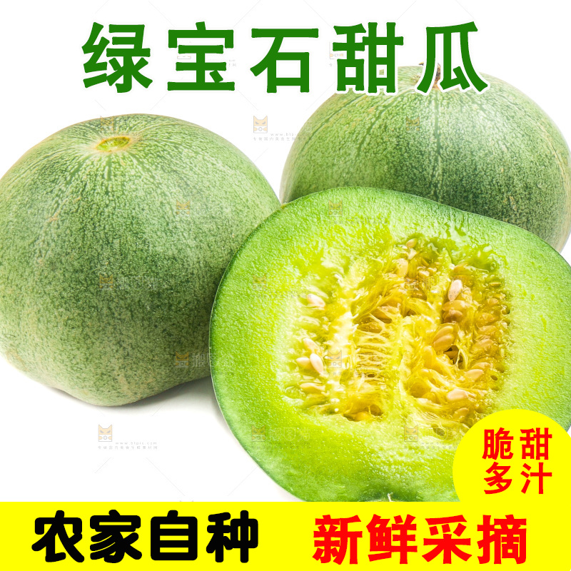 白底上放着山东绿宝甜瓜