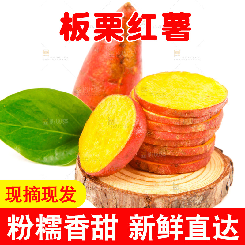浅底上的蜜薯