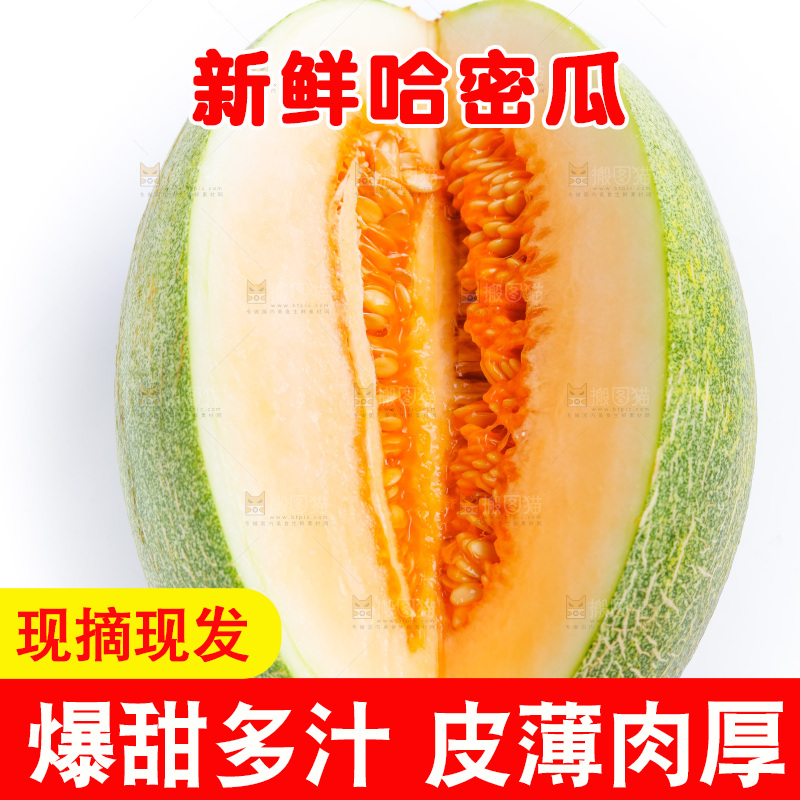 白底上的哈密瓜