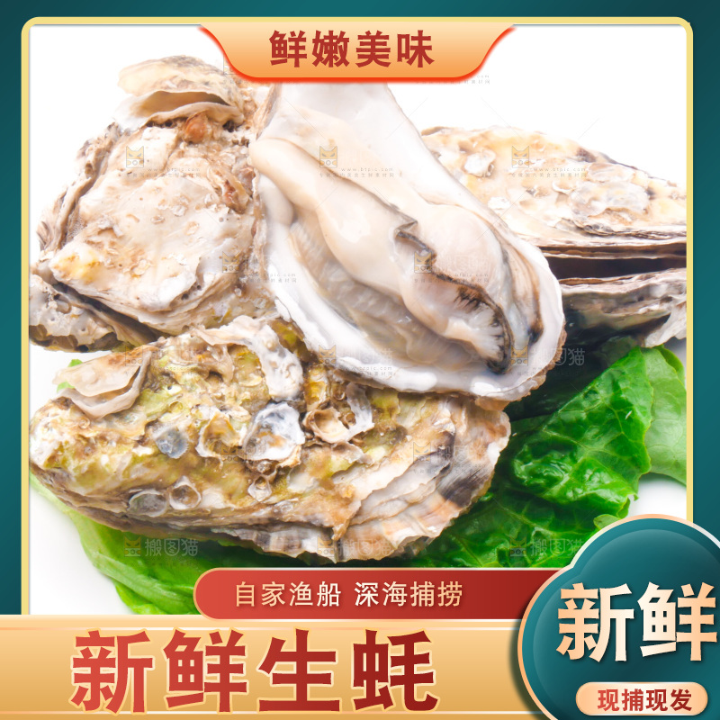 白底上放着乳山生蚝