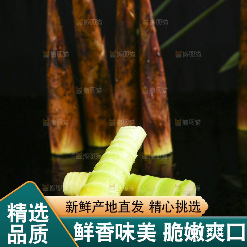 黑底上放着临安春笋