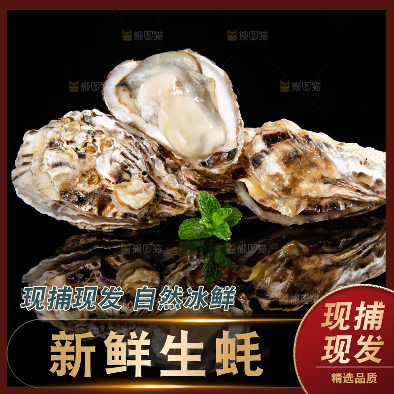 深底上放着牡蛎
