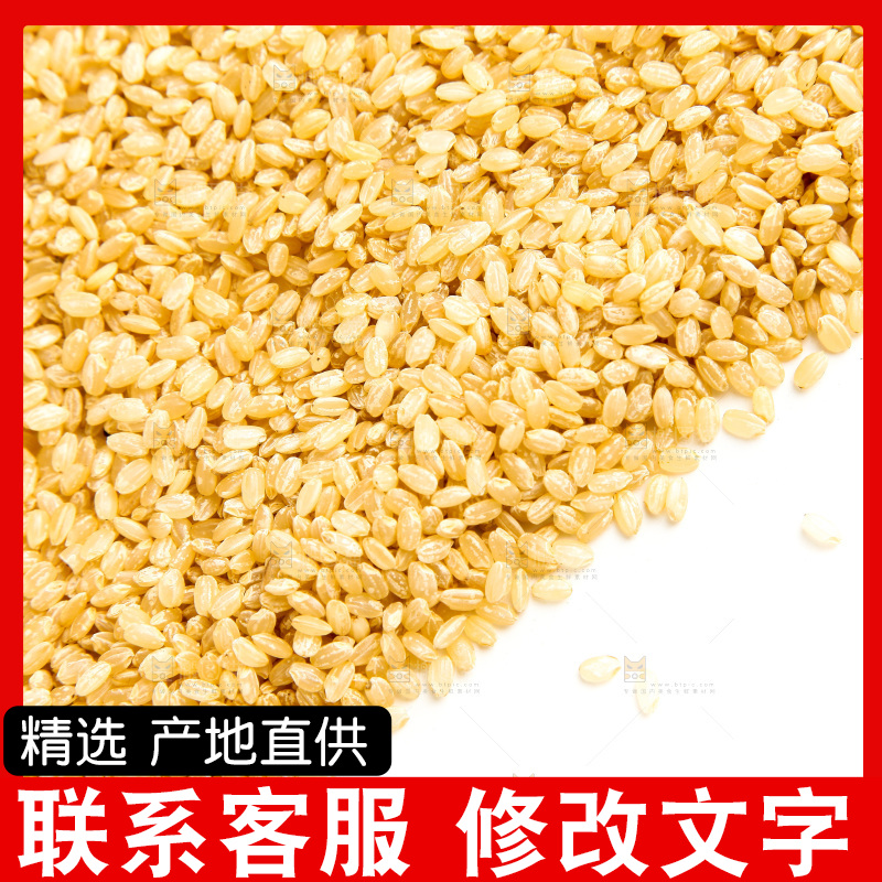 东北糙米放在白底上