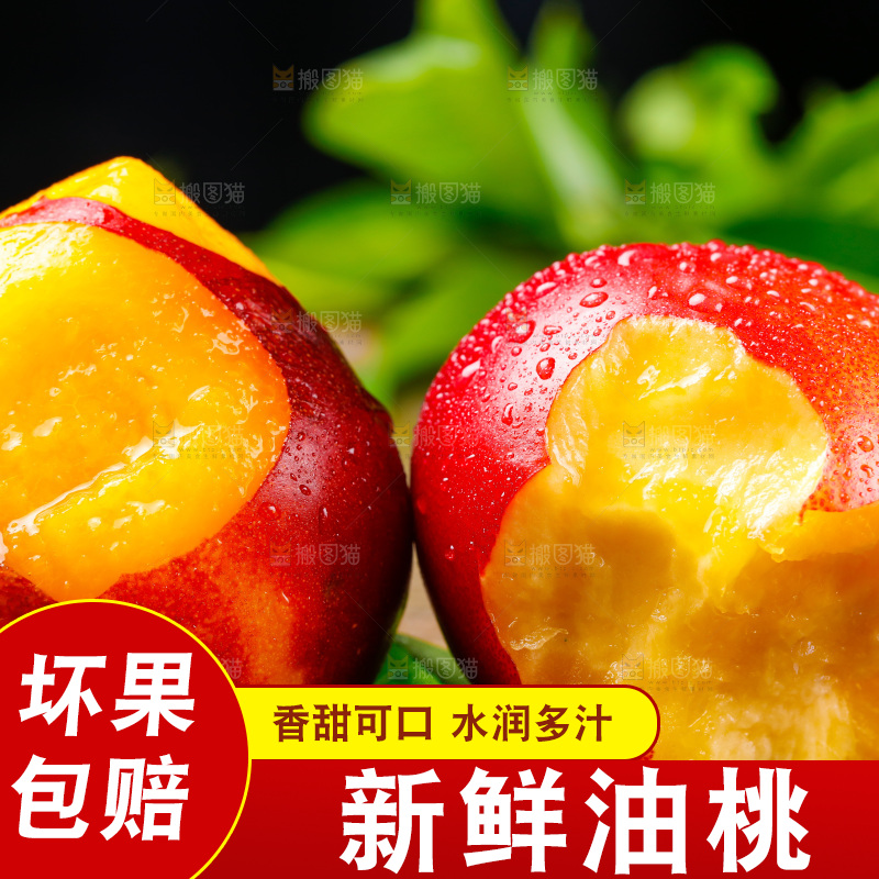 深底上的山西黄心油桃