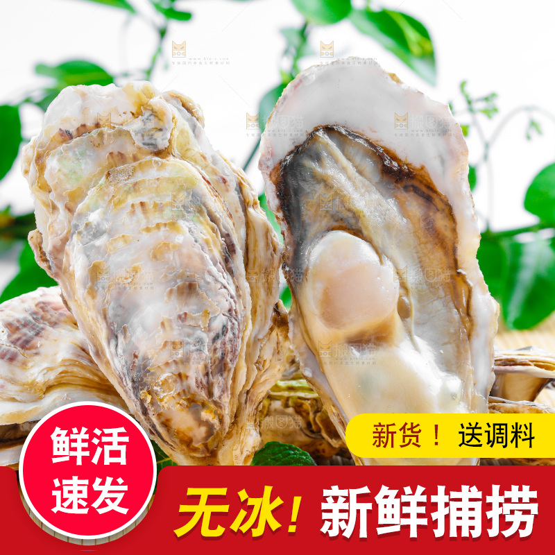 木底上放着海蛎子