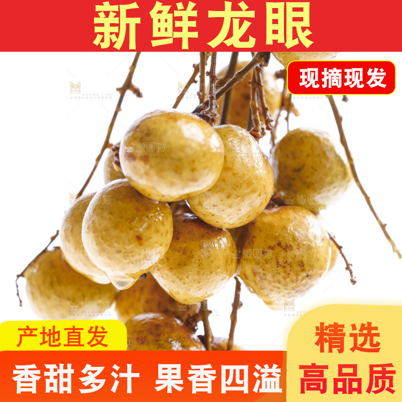 新鲜龙眼放在白底上