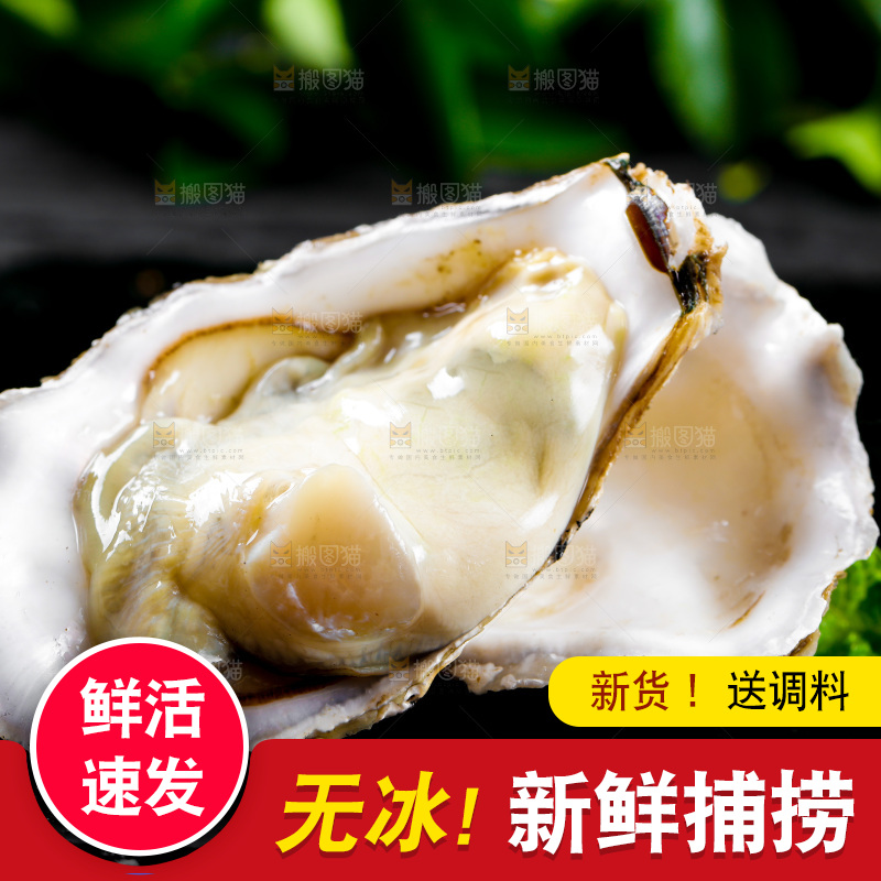 深底上放着牡蛎
