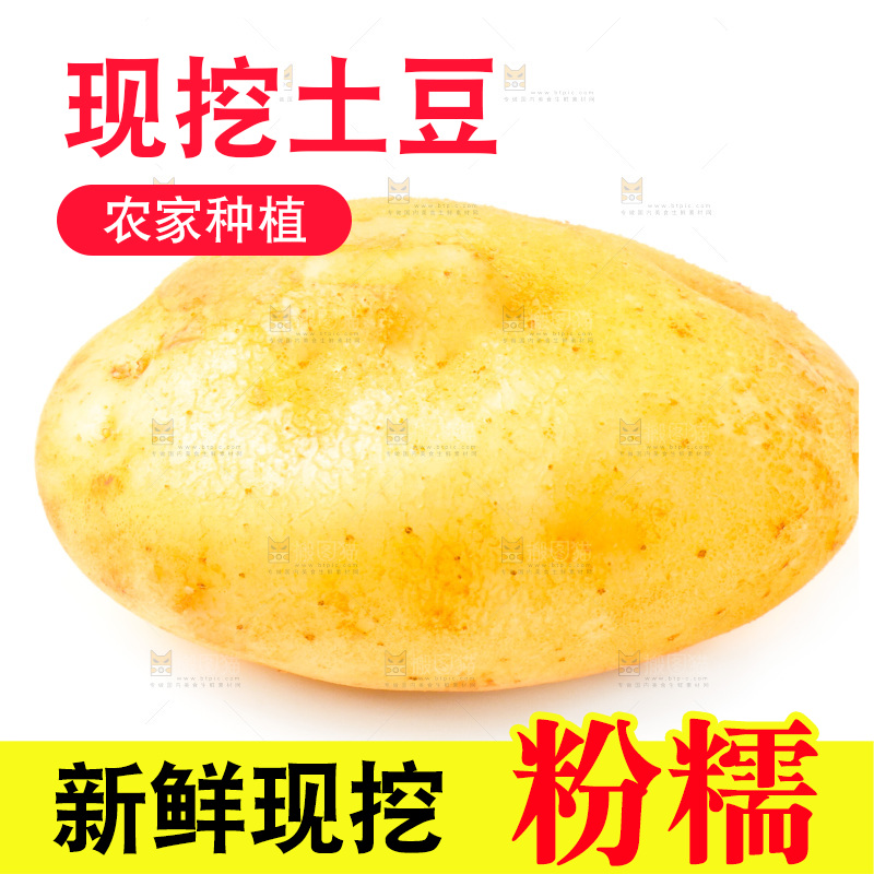 白底上的新鲜土豆