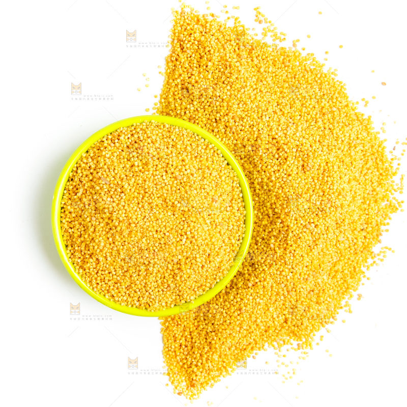 东北小米放在白底上