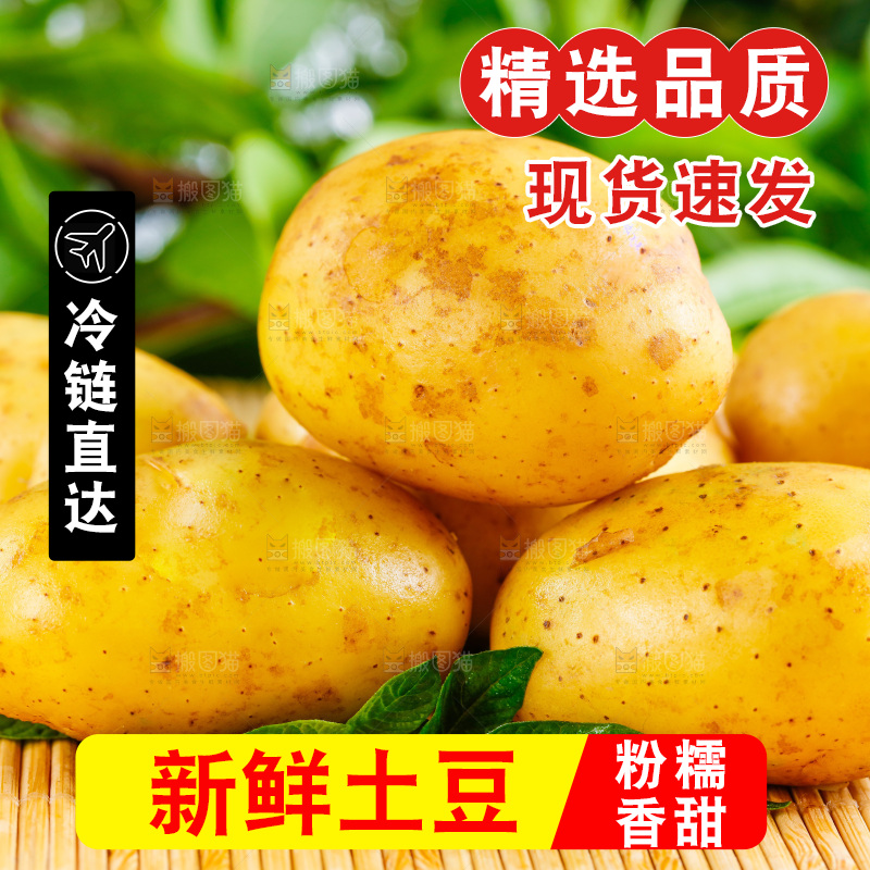 浅底上放着云南黄心土豆