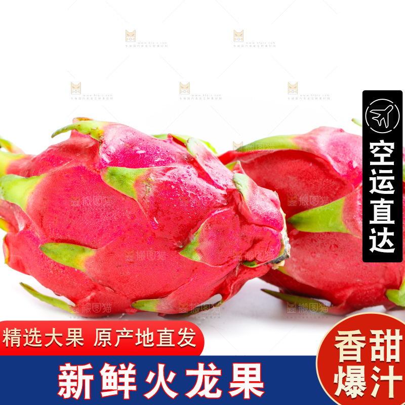 白底上的火龙果