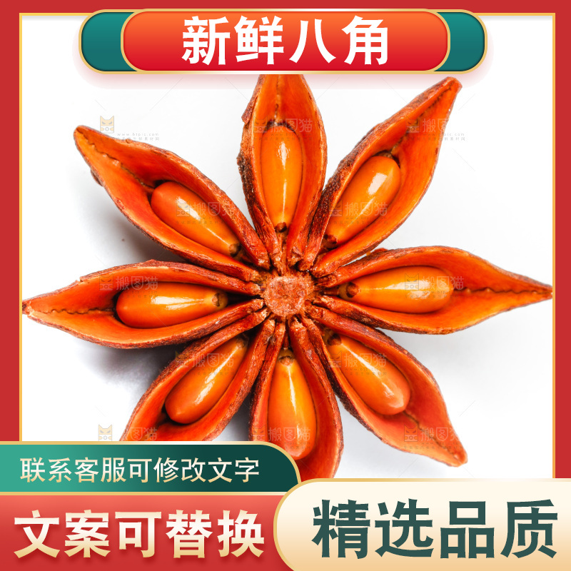 广西八角放在白底上
