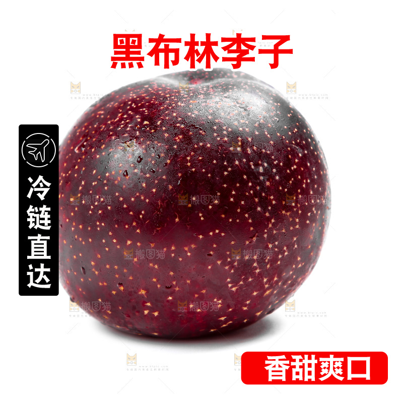 白底上的黑布林