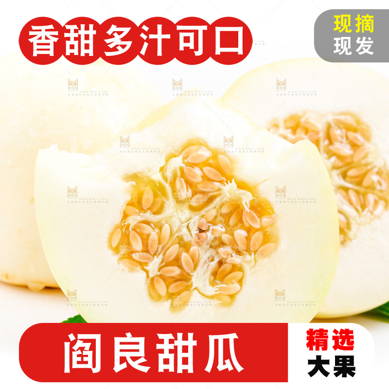 新鲜阎良甜瓜放在白底上