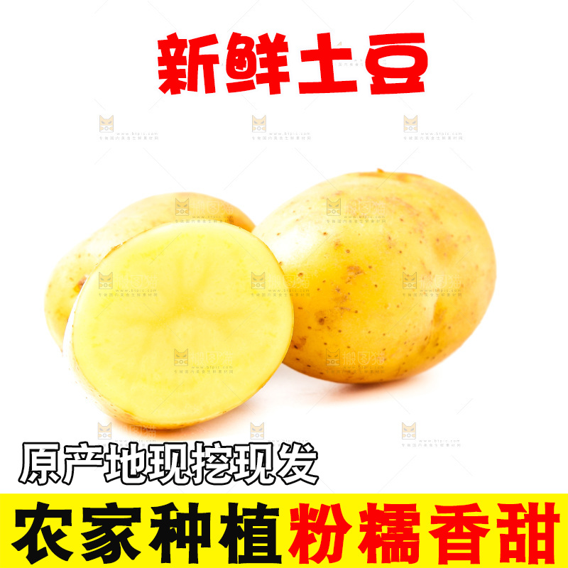 黄心土豆放在白底上