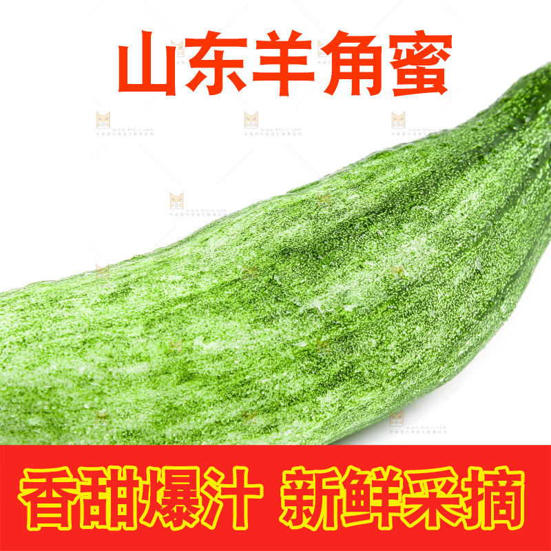 白底上的山东羊角蜜甜瓜